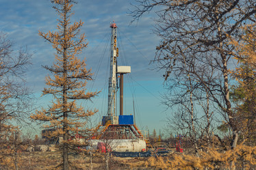 Similar image 21774977