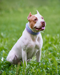 Similar image 21775578