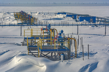 Similar image 21774992