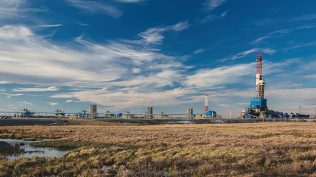 Similar image 21775164