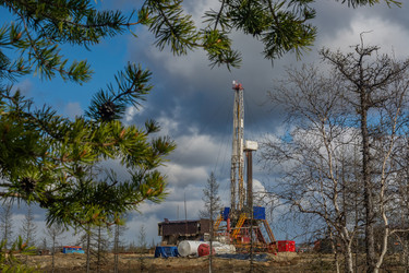 Similar image 21775190