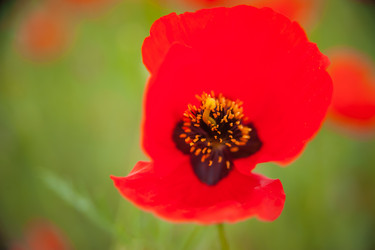 Similar image 21775820