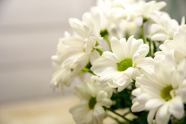 Similar image 21775822