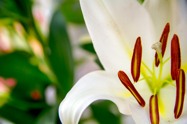 Similar image 21775823