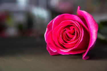 Similar image 21775831