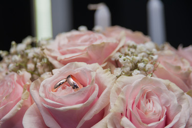 Similar image 21775833