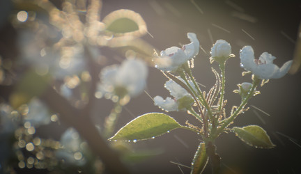 Similar image 21775834