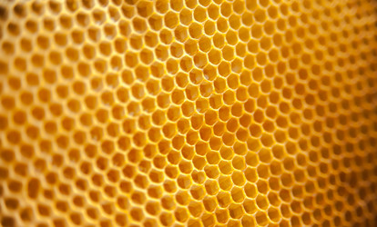 Similar image 21775835