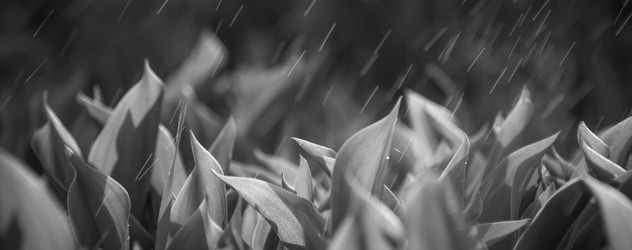 Similar image 21775836