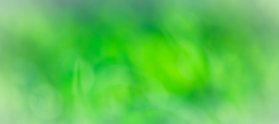 Similar image 21775838