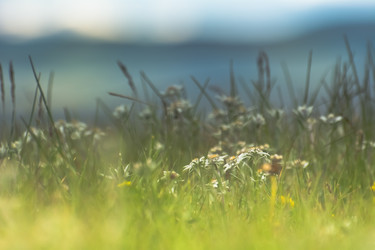 Similar image 21775848