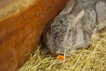 Similar image 21775854