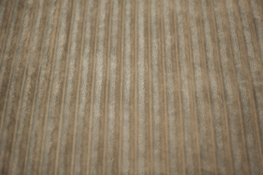 Similar image 21775855