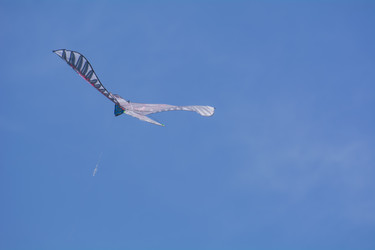 Similar image 21775862