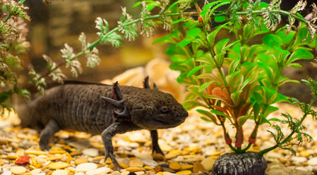 Similar image 21775865