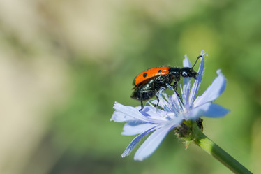 Similar image 21775866