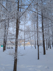 Similar image 21775003