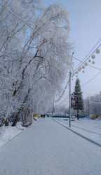 Similar image 21775004