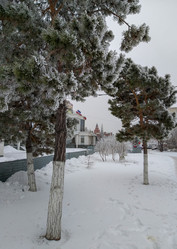 Similar image 21775015