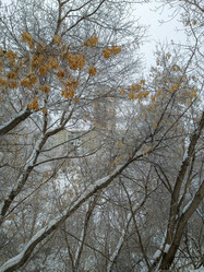 Similar image 21775017