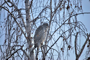 Similar image 21775020