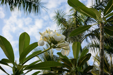 Similar image 21775027