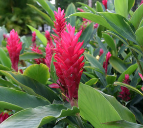 Similar image 21775028