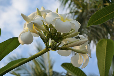 Similar image 21775029