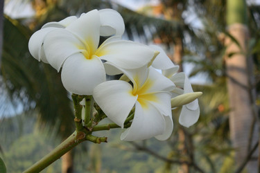 Similar image 21775030