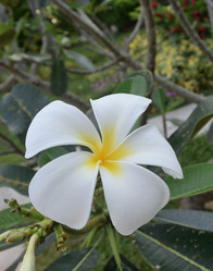 Similar image 21775032