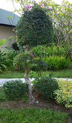 Similar image 21775033