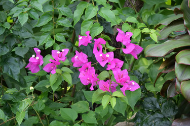 Similar image 21775034