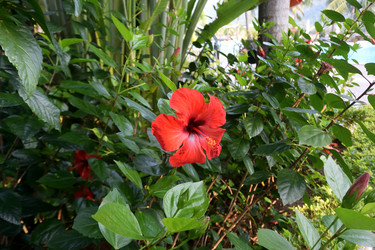 Similar image 21775035