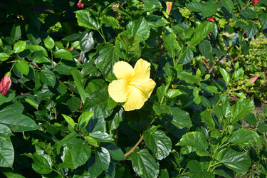 Similar image 21775036