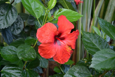 Similar image 21775037