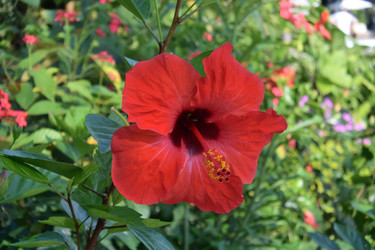 Similar image 21775038