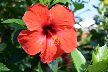 Similar image 21775039