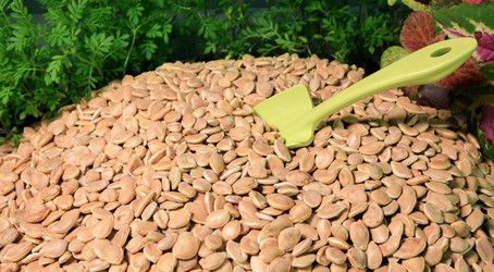 Similar image 21775152