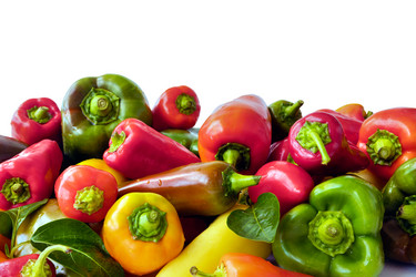 Similar image 21776225