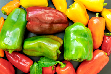 Similar image 21776226