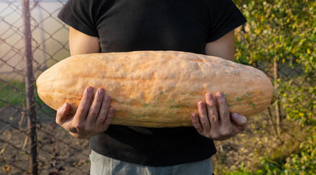 Similar image 21776014