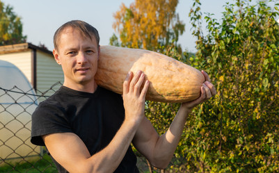 Similar image 21776228