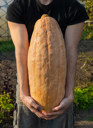 Similar image 21775138