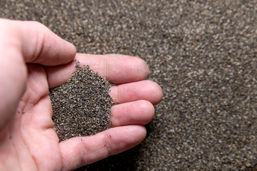 Similar image 21776015