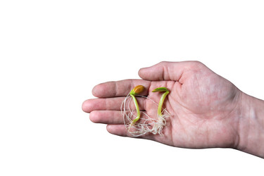 Similar image 21776016