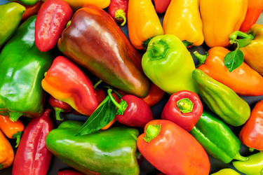 Similar image 21775153