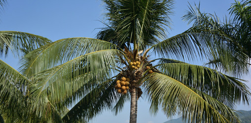 Similar image 21775386