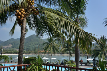 Similar image 21775388