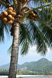 Similar image 21775390