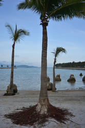 Similar image 21775401